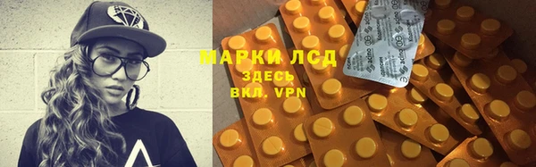стафф Новозыбков