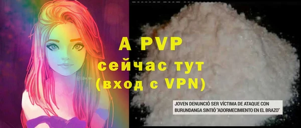стафф Новозыбков