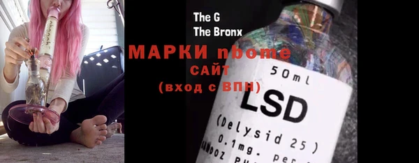стафф Новозыбков