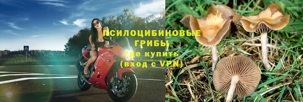 эйфоретик Остров