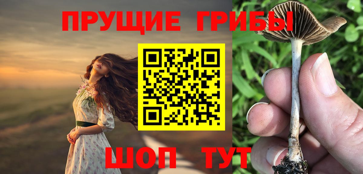 Галлюциногенные грибы мицелий Лениногорск