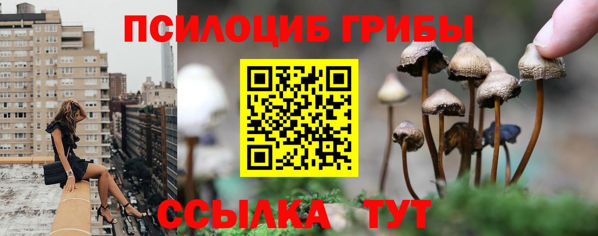 Галлюциногенные грибы мицелий  Вход с VPN  Лениногорск 